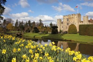hever castle daffodils
